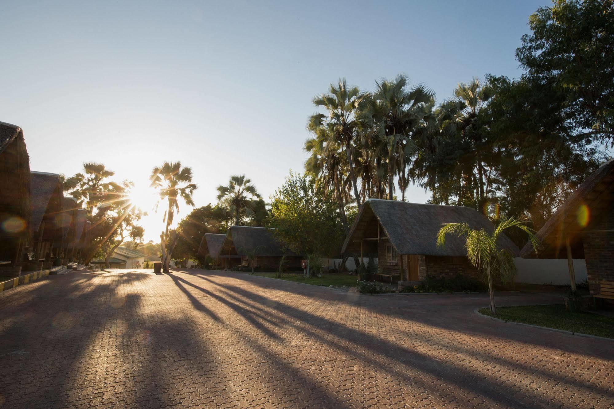 Maun Lodge Exteriér fotografie